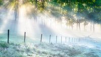 An einem frühen Morgen