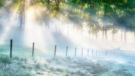 An einem frühen Morgen von Bram de Jong