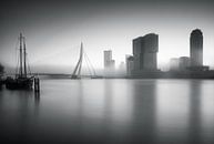 Nebliger Morgen in Rotterdam von Ilya Korzelius Miniaturansicht
