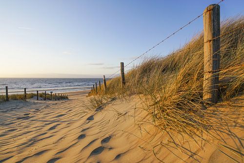 La vie à la plage