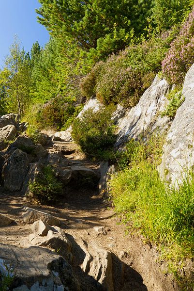 Hiking trail to the summit of Sukkertoppen by Anja B. Schäfer