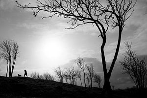 Sous les arbres