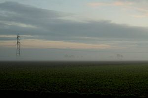 Abendnebel zieht auf