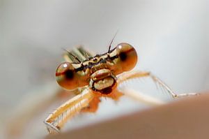 I'm watching you