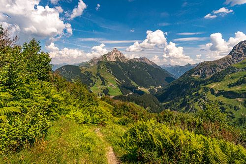 Wanderpfad im Lechquellengebirge