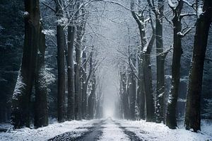 The infinite road by Rob Visser