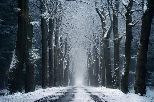 The infinite road by Rob Visser