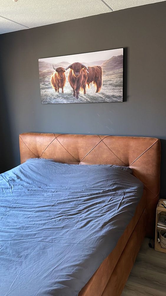 schottische Highlanders  von Karel Ton 