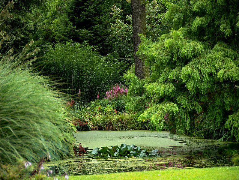 Natuur, Landschapsfoto von Rob Jansen