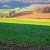 French hilly landscape with farm by Susan Hol