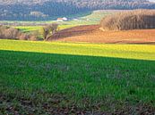 Frans heuvellandschap met boerderij van Susan Hol thumbnail