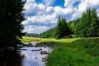 River landscape