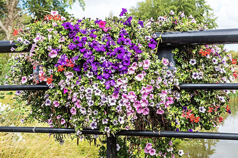 Des fleurs colorées sur la balustrade d'un pont par Art by Jeronimo