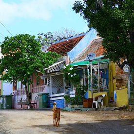 Willemstad Curacao von Bianca Arkesteijn