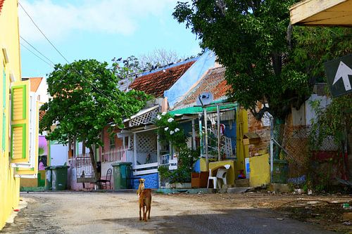 Willemstad Curacao van Bianca Arkesteijn