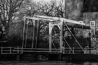 Oostpoort, Delft van Paul Schlüter thumbnail