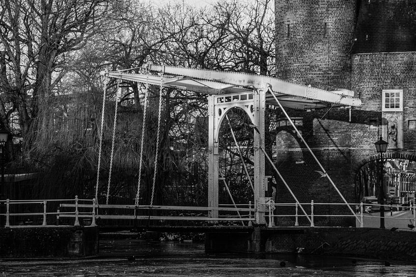 Oostpoort, Delft van Paul Schlüter