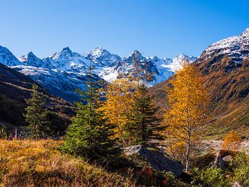 Kleurige herfst in de bergen van Karin vd Waal