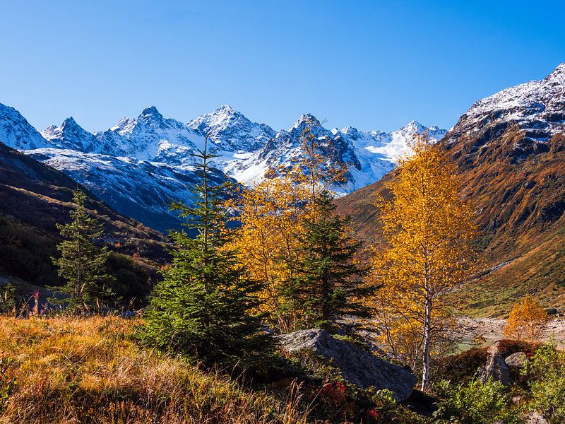 Colourful autumn in the mountains by Karin vd Waal