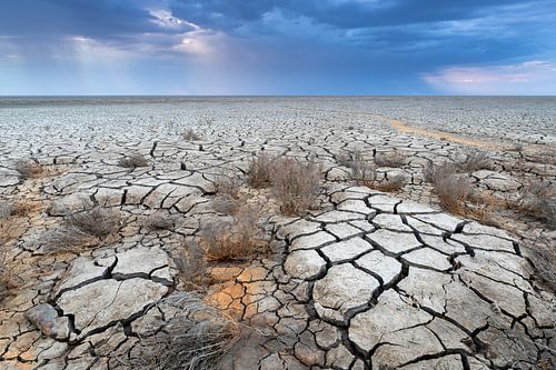 Sécheresse sur les vasières - Mer des Wadden naturelle