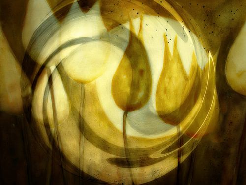 Tulpen abstract