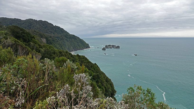 Knights point rotsen in de Tasmanzee, Nieuw Zeeland van Aagje de Jong