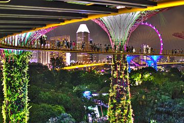 Supertree Grove Singapore van Andrew Chang