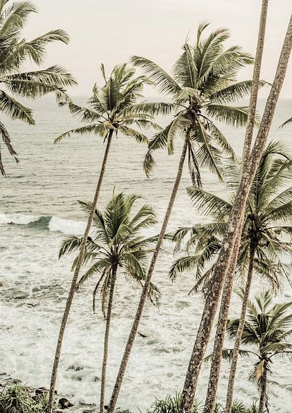 Coastal Serenity by Shot by Clint