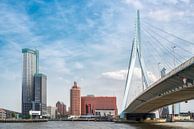 Rotterdam skyline van Lorena Cirstea thumbnail