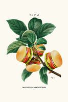 Burger Plant