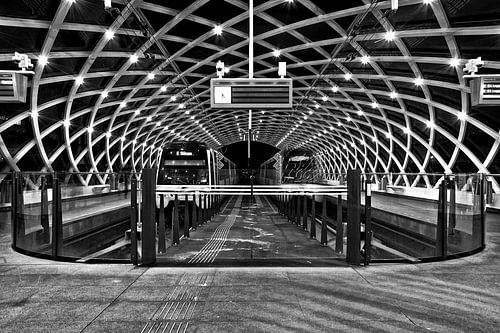 Den Haag bij Nacht in Zwart Wit