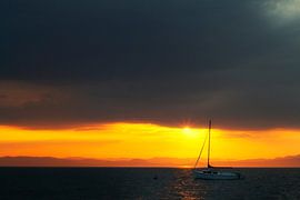 Horizon Lointain sur Renald Bourque