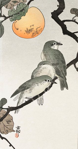 Vögel und Pflanzen (1900 - 1936) von Ohara Koson von Studio POPPY