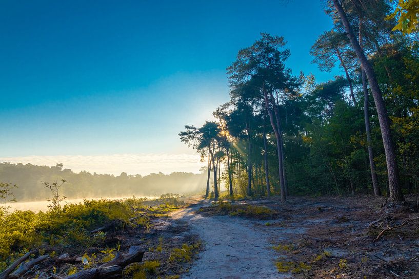 Zonsopkomst in het zuiden van Stephan Krabbendam