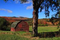 Old barn