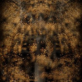 Glowing tree by Yanuschka | Fotografie Noordwijk