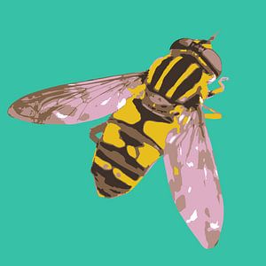 Hoverfly