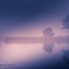 Nebel am Morgen von Bjorn Dockx