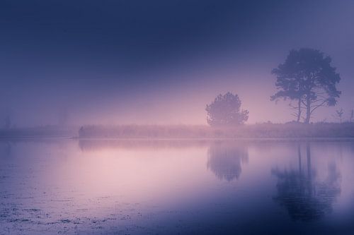 Fog in the morning by Bjorn Dockx
