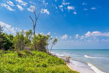 Beach on the Baltic Sea coast near Rosenort in Rostock Heath by Rico Ködder