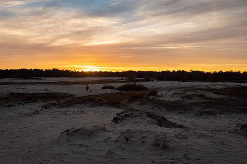 Wandelen in de Duinen