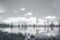 paysage gris