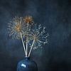 ruhiges Leben, getrocknete Zierzwiebel mit blauer Vase. von Janny Beimers