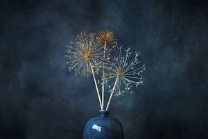 ruhiges Leben, getrocknete Zierzwiebel mit blauer Vase.