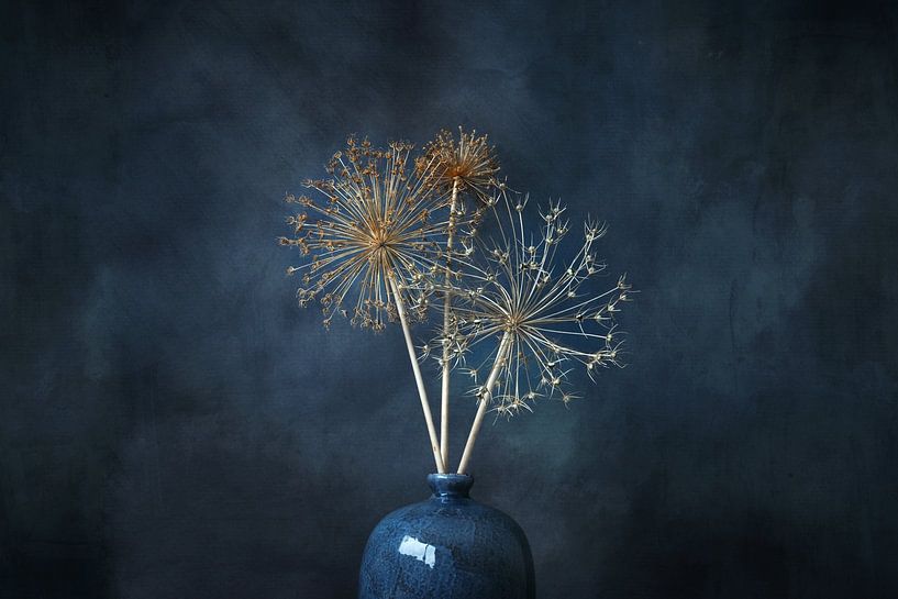 Vie tranquille, oignon ornemental séché avec vase bleu. par Janny Beimers