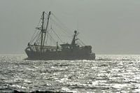 Fishing vessel near Texel