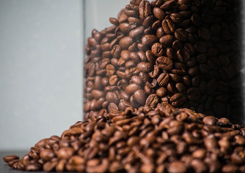 Coffee beans by Onno van Kuik