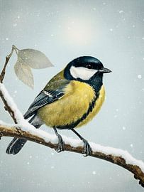 Winter! Koolmees op een kale tak bedekt met sneeuw van Studio Pieternel