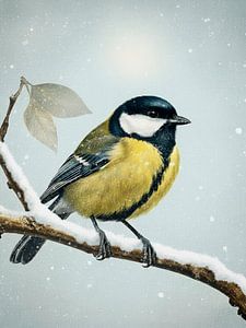 Winter! Kohlmeise auf einem kahlen, verschneiten Ast