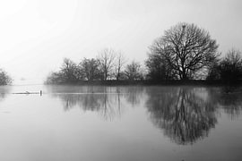 Stilte aan de Waal von Frans van der Ent Fotografie